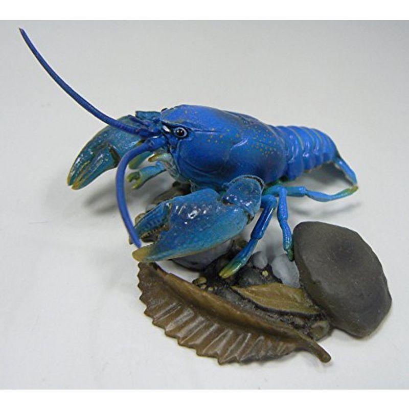 知育玩具 小学館 週刊 日本の天然記念物 動物編 ｓｐ ニホンザリガニ 青 海洋堂製 模型のみ