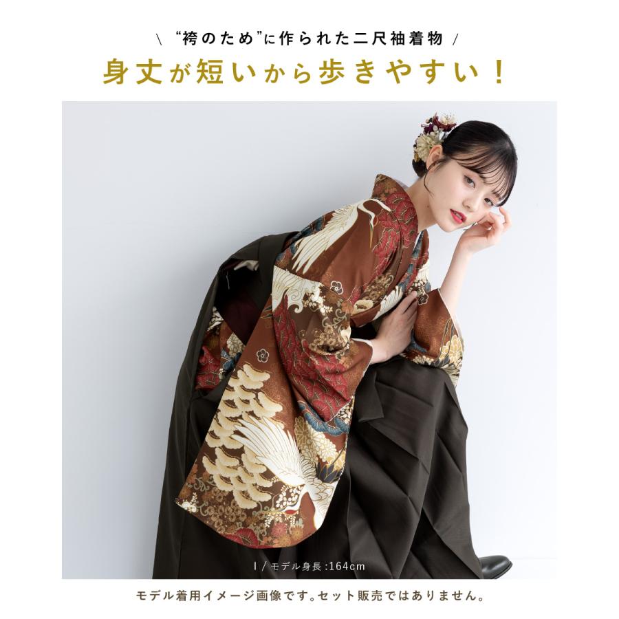 和風　着物 C1172100033011_M.jpg