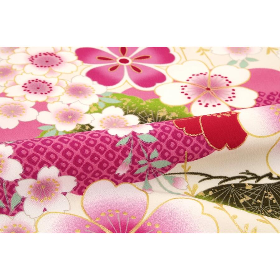 SOUBIEN（創美苑） 袴用着物 二尺袖着物 単品 ブランド AKINA MINAMI