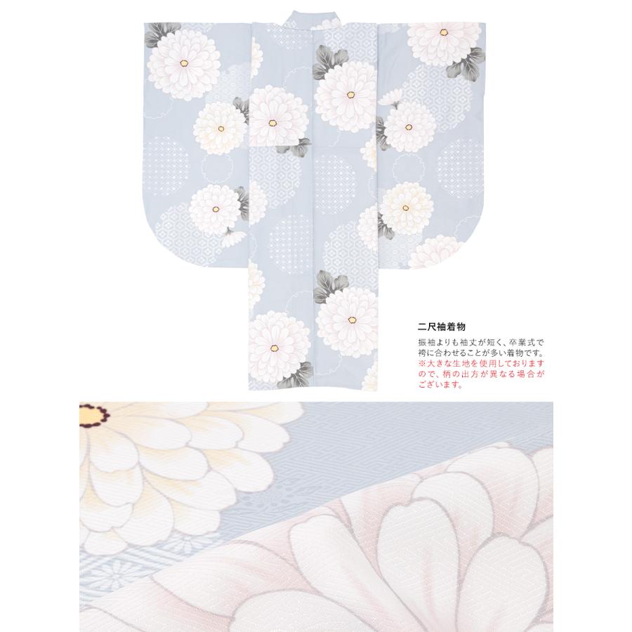 未着用　刺繍　花模様　雲模様　振袖襦袢　襦袢　着物　012a p 刺繍 金彩 乱菊 桜花模様 振袖 着物 102a p