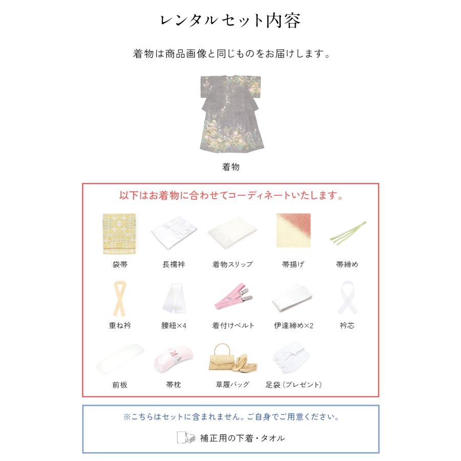 訪問着セット 訪問着レンタル 結婚式 卒業式 入学式 七五三 hw1113 着物レンタル