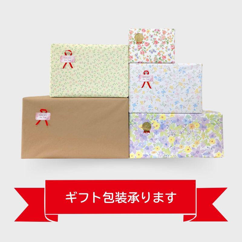 Medi Labo CH-1 ピンク フットマッサージャー マッサージ器 フット