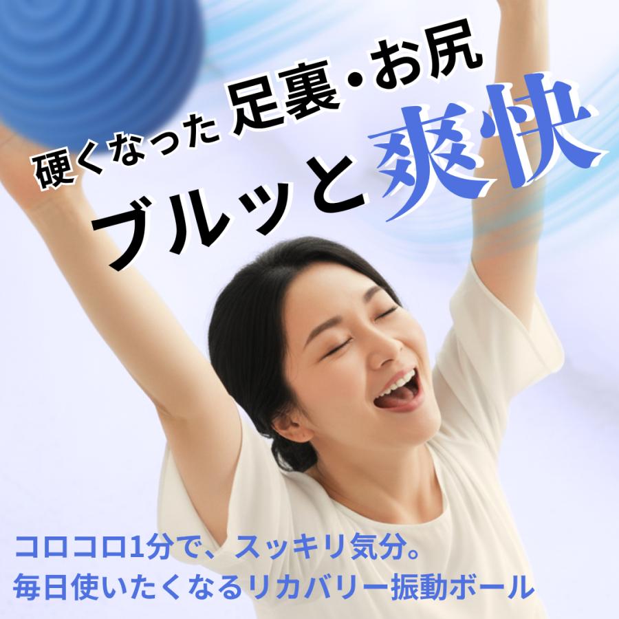パーレ／ステンレス製／マッサージボール／パーレテラピー用／パーレ2