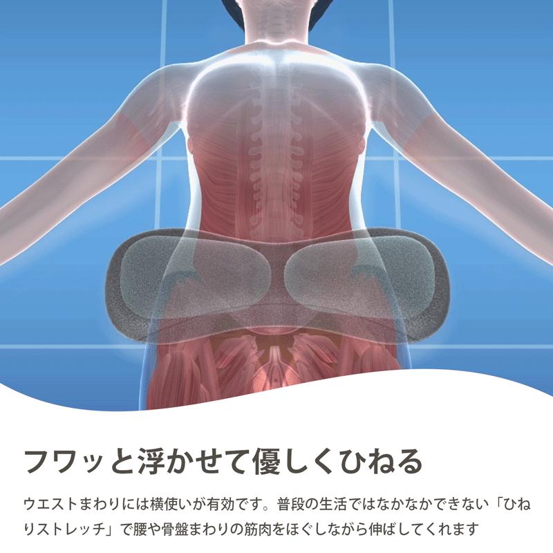 Medi Labo ITE0540 エアーほぐレッチ ストレッチ 器具 肩甲骨はがし