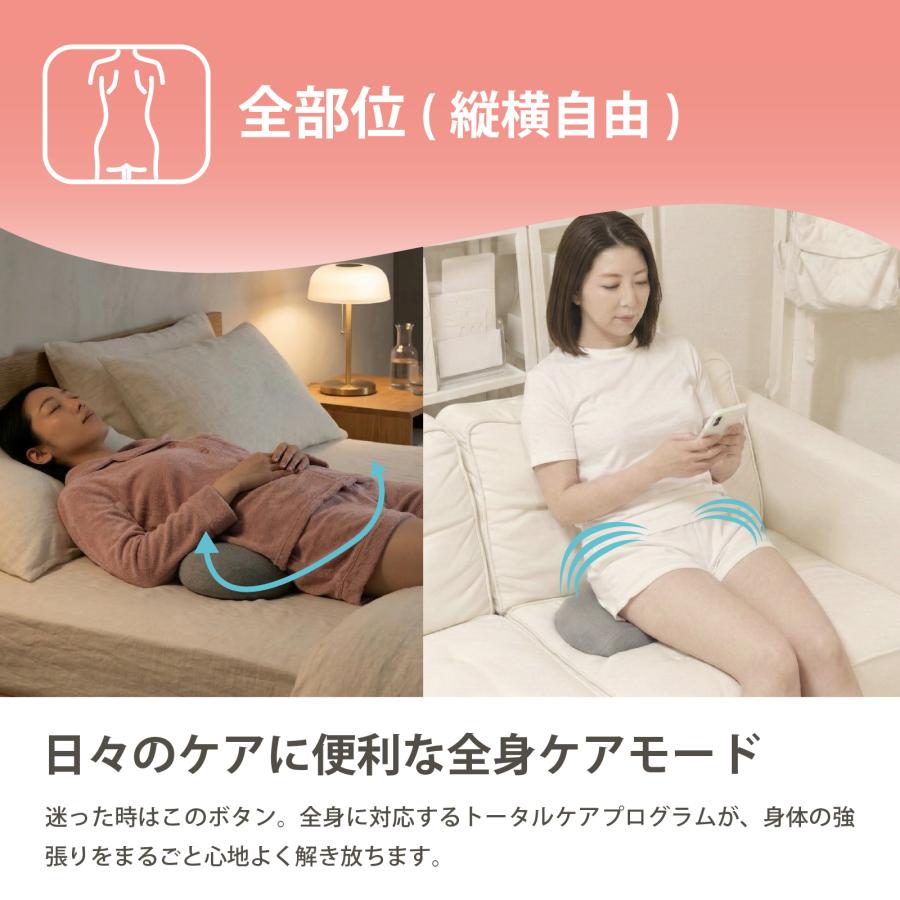 Medi Labo ITE0540 エアーほぐレッチ ストレッチ 器具 肩甲骨はがし