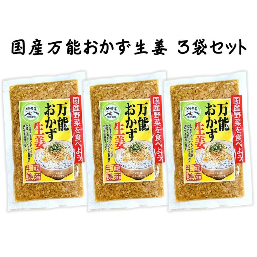 国産おかず生姜 万能おかず生姜 3袋入 送料無料 漬物 おつまみ 珍味 ご飯のお供 ポイント消化 Sc Mm 050 Y 総合食品通販 通販 Yahoo ショッピング