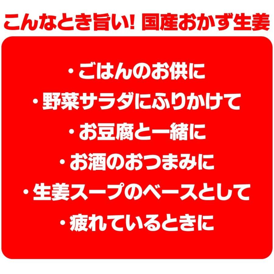 国産おかず生姜 万能おかず生姜 3袋入 送料無料 漬物 おつまみ 珍味 ご飯のお供 ポイント消化 Sc Mm 050 Y 総合食品通販 通販 Yahoo ショッピング