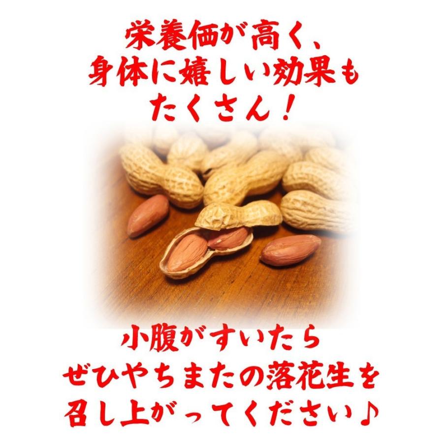 ｑなっつ 殻付き落花生 国産 累計250 000袋突破 千葉県やちまた産 100g 2袋 送料無料 キューナッツ ピーナッツ 八街 おつまみ 贅沢 Sc Yf 055 Yc 総合食品通販 通販 Yahoo ショッピング