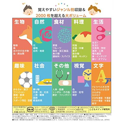 チエノビIQフラッシュカードBD（ブルーレイ）英語モード切替え可能 右脳教育 赤ちゃん 0歳から 