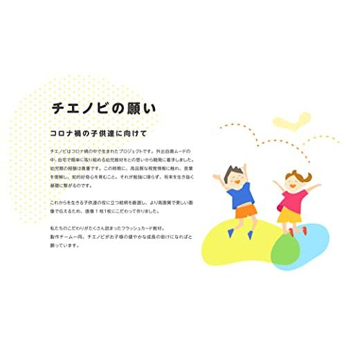 チエノビIQフラッシュカードBD（ブルーレイ）英語モード切替え可能 右脳教育 赤ちゃん 0歳から 