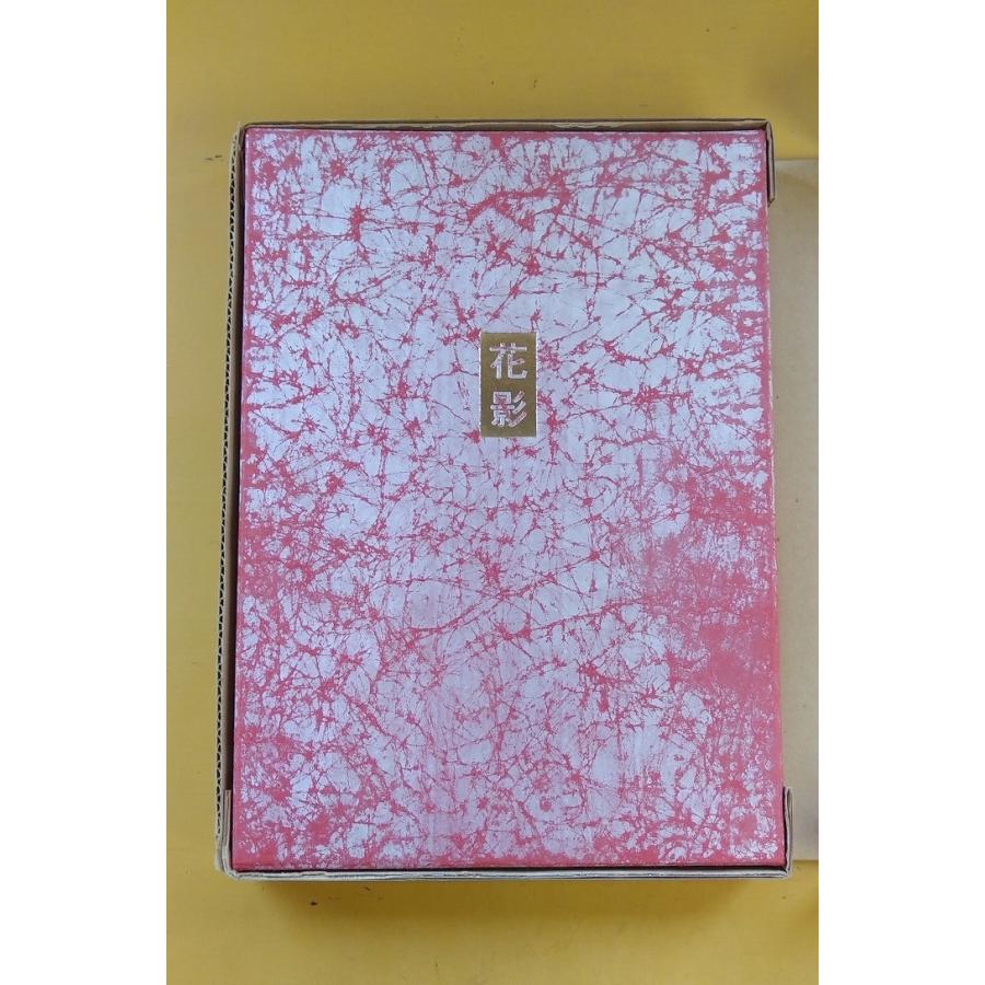 ブランド登録なし - 花影 押さえる450 青娥書房 「古書」Ｂ:好ましい P0140B