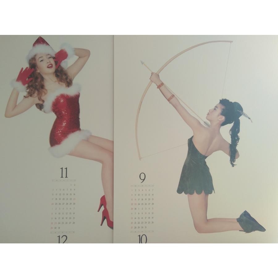 Rie Miyazawa 1991 Calendar 宮沢りえ1991年カレンダー 集英社 B:良好