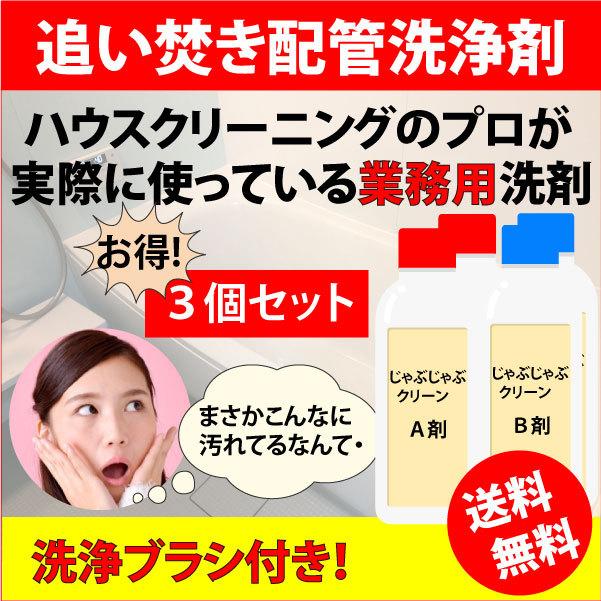 即納最大半額 業務用強力浴室洗剤 掃除のプロが使っている風呂釜洗浄剤 追い焚き配管 じゃぶじゃぶクリーン １つ穴用 3個セット 送料無料 新品本物 Zoetalentsolutions Com