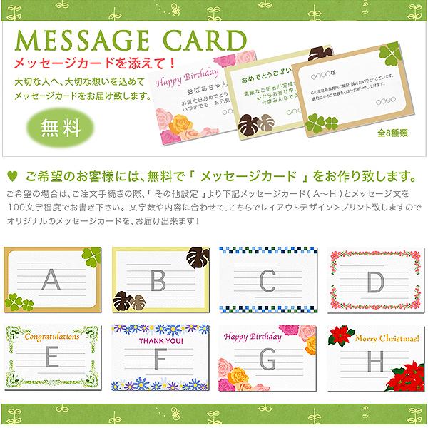 梅の枝の花 版画 208/280 額装 落款あり インテリア 絵画 花の絵