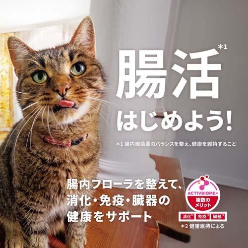サイエンスダイエット アダルト 成猫 猫用 1〜6歳 チキン 2.8kg ( 2.8