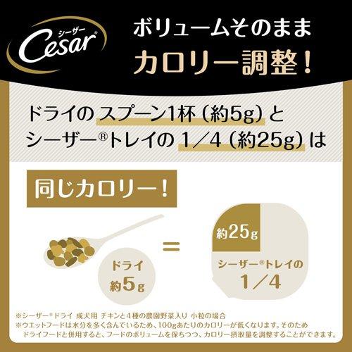 シーザー 成犬用 吟選ビーフ ドッグフード ウエット ( 100g*24コセット