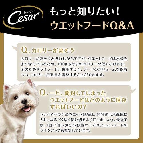 シーザー 成犬用 吟選ビーフ ドッグフード ウエット ( 100g*24コセット
