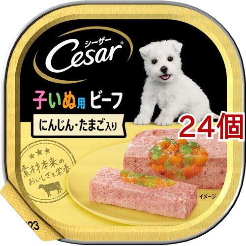 シーザー 子いぬ用 ビーフ にんじん・たまご入り ドッグフード