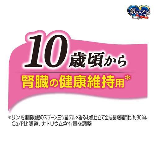 銀のスプーン 三ツ星グルメ 香るお魚仕立て 10歳頃から 4種の素材入り