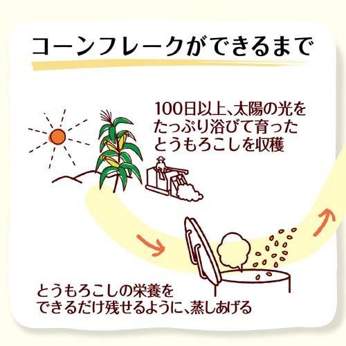 キロロス6袋セット ケロッグ コーンフレーク 袋 ( 180g*6コセット ) : 爽快ドラッグ