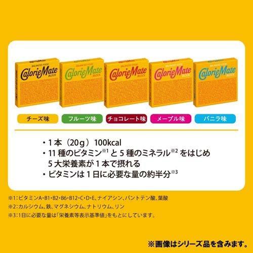 大塚製薬 カロリーメイト ブロック フルーツ味 ( 4本入(80g)*10