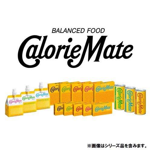 大塚製薬 カロリーメイト ブロック フルーツ味 ( 4本入(80g)*10