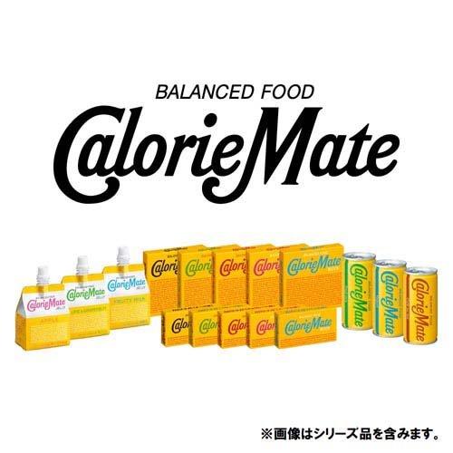 大塚製薬 カロリーメイト ブロック メープル味 ( 4本入(80g)*10