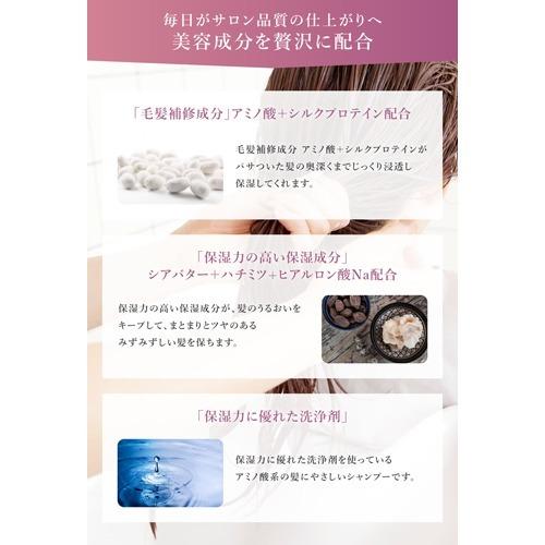 サロンリンク エクストラ シャンプー+コンディショナー サロンリンク エクストラ シャンプー+コンディショナー