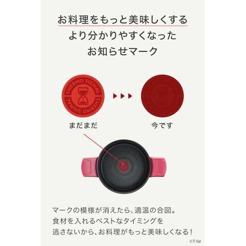 ティファール IHルージュ・アンリミテッド シチューポット 20cm G26244
