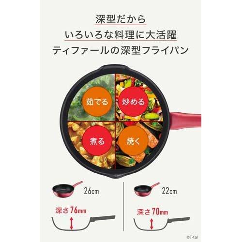 ティファール IHルージュ・アンリミテッド マルチパン 22cm G26275 ( 1
