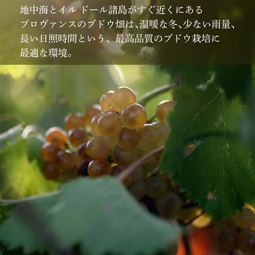 セント マルガリート ファンタスティック ロゼ 辛口 コート・ド