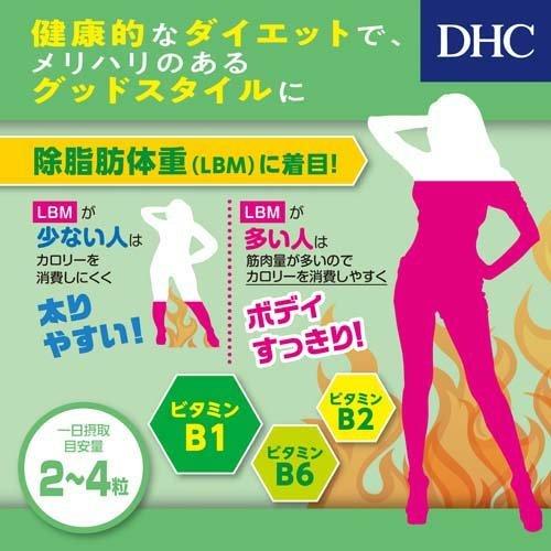 DHC フォースコリー 20日分 ( 80粒 )/ DHC サプリメント 
