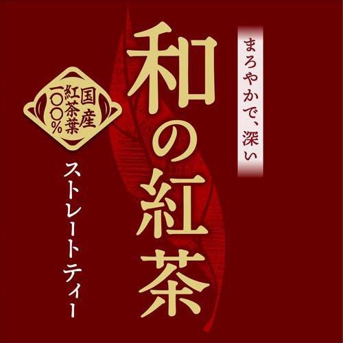 アサヒ 和の紅茶 ストレートティー はちみつ仕立て ( 600ml×24本入