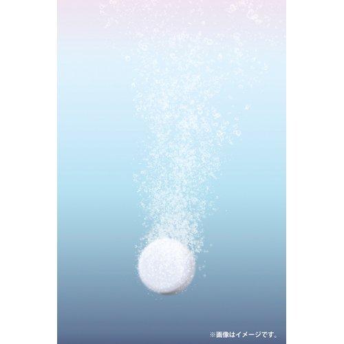 Beauwell アンドグッドナイト 薬用入浴剤 重炭酸 L 7回分 ( 15g*21錠入