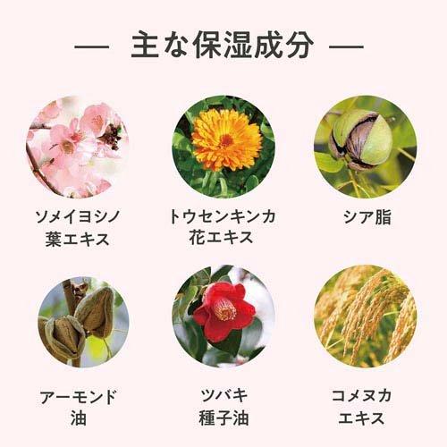 デイズインブルーム ガーデン ハンドクリーム サクラフローラル ( 50mL