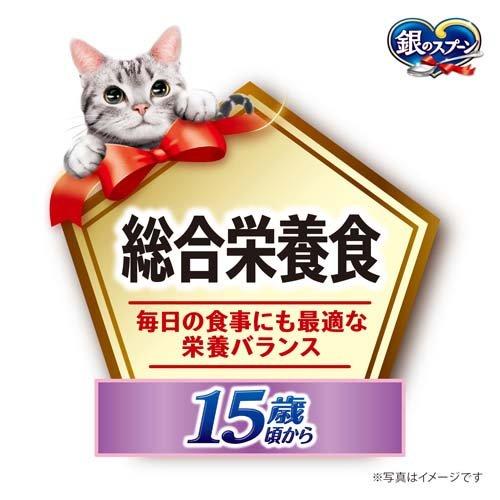銀のスプーン パウチ 総合栄養食 15歳頃から まぐろ ( 55g×12袋