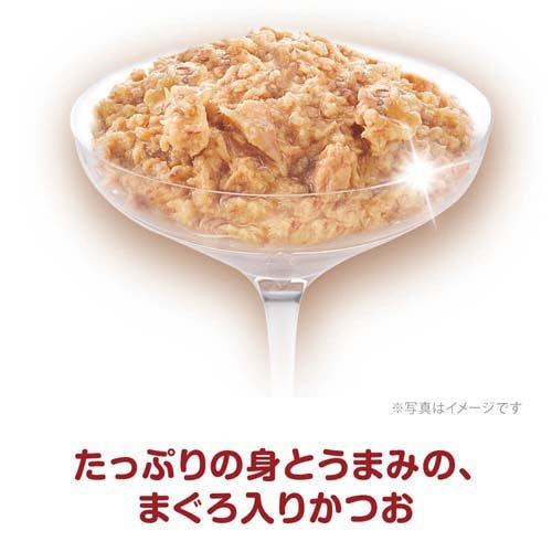 三ツ星グルメ パウチ フレーク 15歳頃から まぐろ入りかつお ( 35g*16