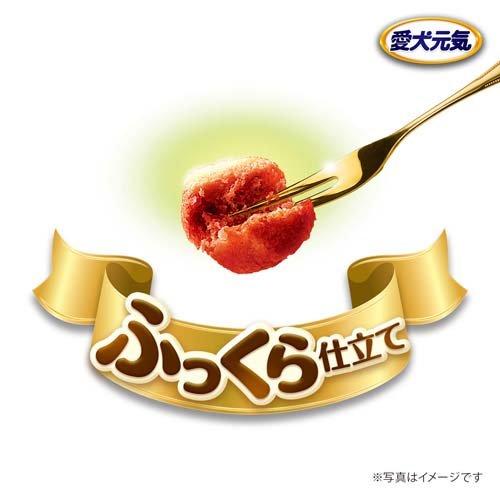 愛犬元気 パックン 全成長段階用 ビーフ・ささみ・緑黄色野菜 愛犬元気 パックン 全成長段階用 ビーフ・ささみ・緑黄色野菜