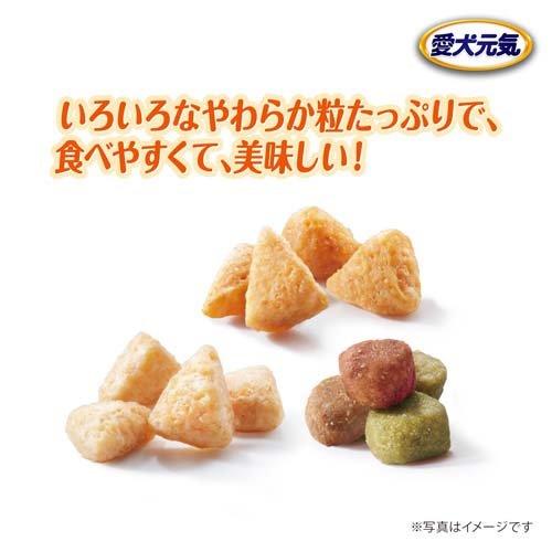 愛犬元気 パックン 7歳以上用 ビーフ・ささみ・緑黄色野菜・小魚 愛犬元気 パックン 7歳以上用 ビーフ・ささみ・緑黄色野菜・小魚