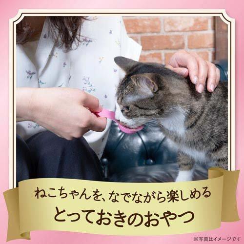 銀のスプーンおやつにゃんSpoon2種のアソート鶏ささみ＆サーモン味 猫