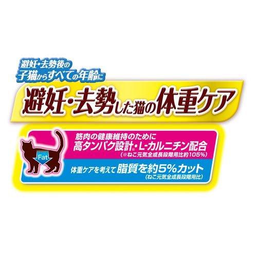 NEW 避妊・去勢後から全ての年齢に避妊・去勢した猫の体重ケア まとめ売り ねこ元気 避妊・去勢した猫の体重ケア ( 1.6kg )/ キャットフード