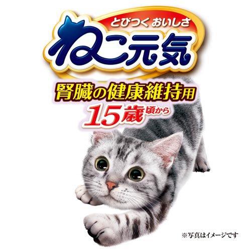 ねこさん専用 マンナイン キャットドール キャットニップ入り エキゾチック｜necono