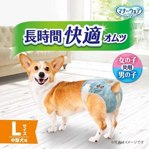 マナーウェア長時間快適オムツ男女共用L ( 26枚入 )/ マナーウエア