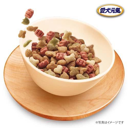 愛犬元気 全成長段階用 ビーフ・緑黄色野菜・小魚入り ( 6kg