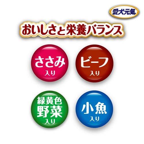 愛犬元気 10歳以上の中・大型犬用 ささみ・ビーフ・緑黄色野菜 愛犬元気 10歳以上の中・大型犬用 ささみ・ビーフ・緑黄色野菜