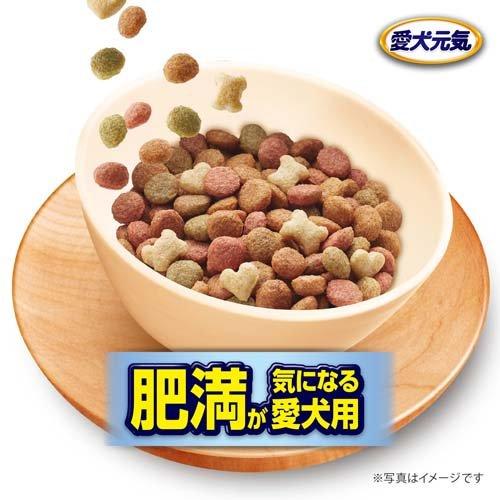 愛犬元気 肥満が気になる愛犬用 ビーフ・ささみ・緑黄色野菜・小 愛犬元気 肥満が気になる愛犬用 ビーフ・ささみ・緑黄色野菜・小