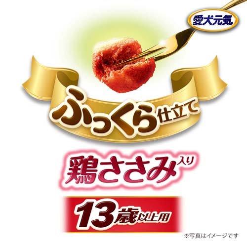 愛犬元気 パックン 鶏ささみ入り 13歳以上用 ささみ・緑黄色野菜 愛犬元気 パックン 鶏ささみ入り 13歳以上用 ささみ・緑黄色野菜