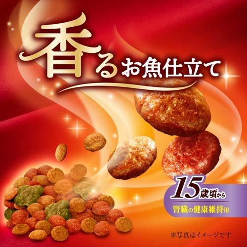 銀のスプーン 三ツ星グルメ 腎臓の健康維持用 15歳頃から 4種の 銀のスプーン 三ツ星グルメ 腎臓の健康維持用 15歳頃から 4種の