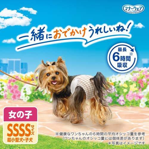 マナーウェア 女の子用 SSSS トラッドテイスト 犬用 おむつ ユニ