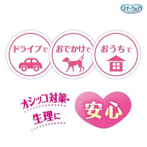 マナーウェア 女の子用 SSSS トラッドテイスト 犬用 おむつ ユニ